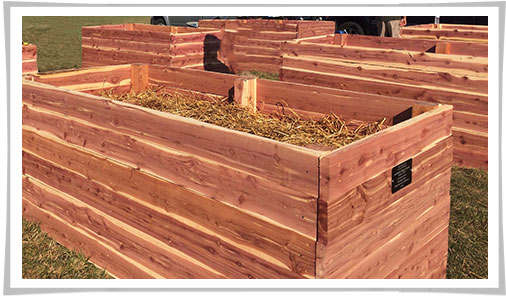 Building Projects